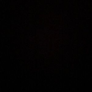 Meet your Posher, Mackenzie